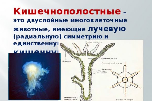 Как зарегистрироваться на кракене из россии