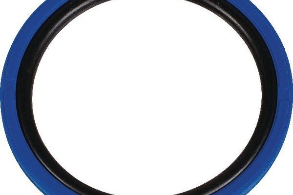 Kraken marketplace