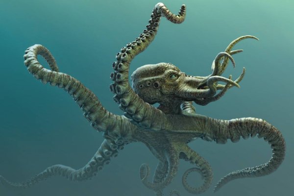 Kraken ссылка kraken link24 info